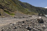 Coastal Landscape of New Zealand under Clear Skies