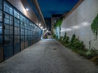 some dark blue windows in an industrial building with no one on the street to the right