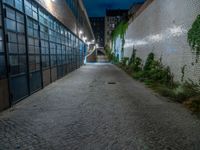 some dark blue windows in an industrial building with no one on the street to the right