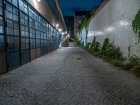 some dark blue windows in an industrial building with no one on the street to the right