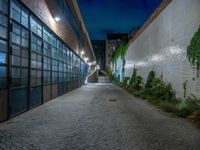 some dark blue windows in an industrial building with no one on the street to the right