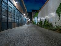 some dark blue windows in an industrial building with no one on the street to the right