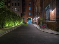 lights illuminate a row of bushes and a path in between the two buildings