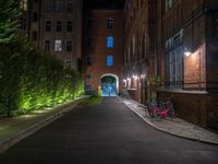 lights illuminate a row of bushes and a path in between the two buildings