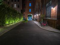 lights illuminate a row of bushes and a path in between the two buildings