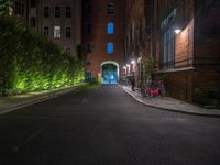 lights illuminate a row of bushes and a path in between the two buildings