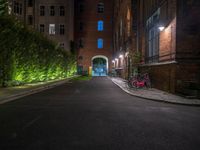 lights illuminate a row of bushes and a path in between the two buildings