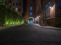 lights illuminate a row of bushes and a path in between the two buildings