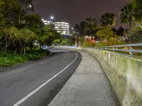 Night City Life in Los Angeles