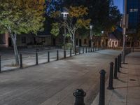 night scene showing many metal post lines on the sidewalk in front of buildings and trees