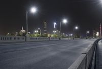 two lights on the same pole at an outdoor area at night, in the background is a freeway with lights and a streetlight