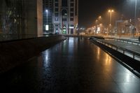 Night Cityscape Reflection in Metropolitan 002