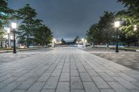 the street is lined with many trees, lamps, and benches, in this area