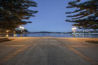 a tree lined sidewalk leading to a marina at night with street lights on in the background