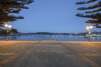 a tree lined sidewalk leading to a marina at night with street lights on in the background