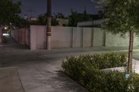 some bushes and a fence near a parking lot at night, with a stop sign next to it