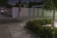 some bushes and a fence near a parking lot at night, with a stop sign next to it