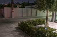 some bushes and a fence near a parking lot at night, with a stop sign next to it