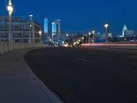 Night in the Metropolis: Street Lights and Cityscape