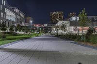 Night in Toronto: Cityscape and Lights