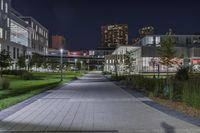 Night in Toronto: Cityscape and Lights