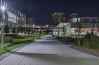 Night in Toronto: Cityscape and Lights