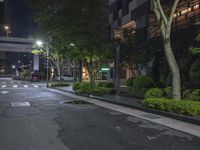 a street intersection at night with trees and lights on the side walk and some cars in the other road