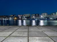 the night lights and grass line the concrete sidewalks by the water and buildings, overlooking the city