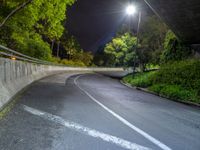 a bike riding down a steep road in a wooded area at night under an overpass