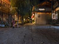 Night in Old Town Lijiang, Yunnan, China 003