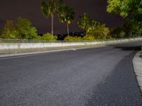 an empty roadway with palm trees and dark skies in the background at night time and a street sign