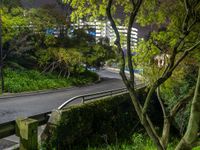 a road and roadway running under tall buildings on the hillside at night, viewed from a park