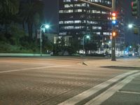 night scene of a street intersection with a pedestrian crossing and skyscrapers in the background