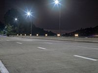 Night Scene of Los Angeles Urban Landscape