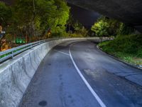 the motorcycle path runs over a bridge overpass by trees and building's lights