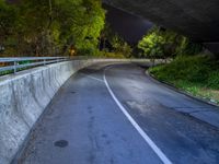 the motorcycle path runs over a bridge overpass by trees and building's lights