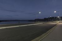 a long street with street lamps lining the width of it and some street lights on either side