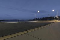 a long street with street lamps lining the width of it and some street lights on either side