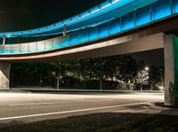 a very long blue bridge over a highway near trees and a street light lit up on the side of it