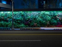 an empty street at night next to a wall full of plants with lights in it