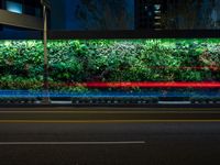 an empty street at night next to a wall full of plants with lights in it