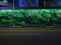 an empty street at night next to a wall full of plants with lights in it