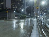 the street with no people is wet and has a light on at night in an urban area