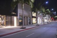 street scene with palm trees on both sides of it at night time in a large city