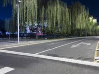 a street with a traffic light on a cloudy night with willow trees lining the street