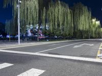a street with a traffic light on a cloudy night with willow trees lining the street