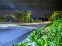 a highway passing under a bridge at night, underpassing with trees and plants