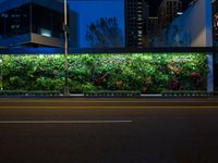 streetlight and green plant wall in the night time city side walk, with empty road in front