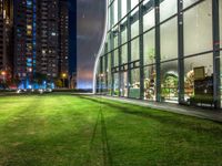 an outdoor area with grass, lights and tall buildings at night time in the background