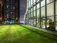 an outdoor area with grass, lights and tall buildings at night time in the background